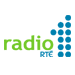 RT� 1 LIVE in ENGLISH from IRELAND